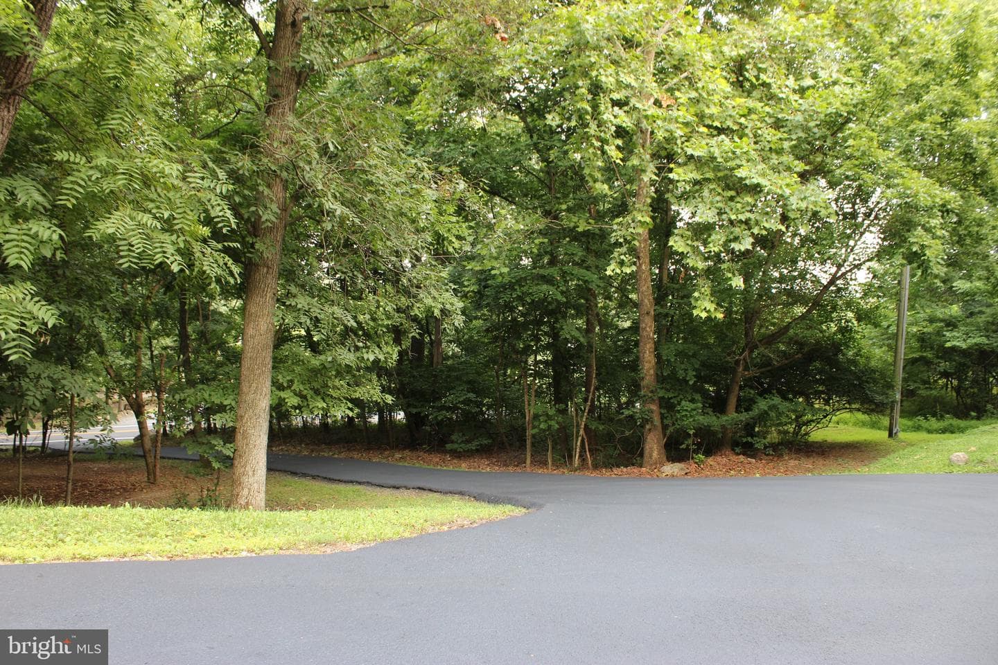957 Butlers Chapel Road photo 14