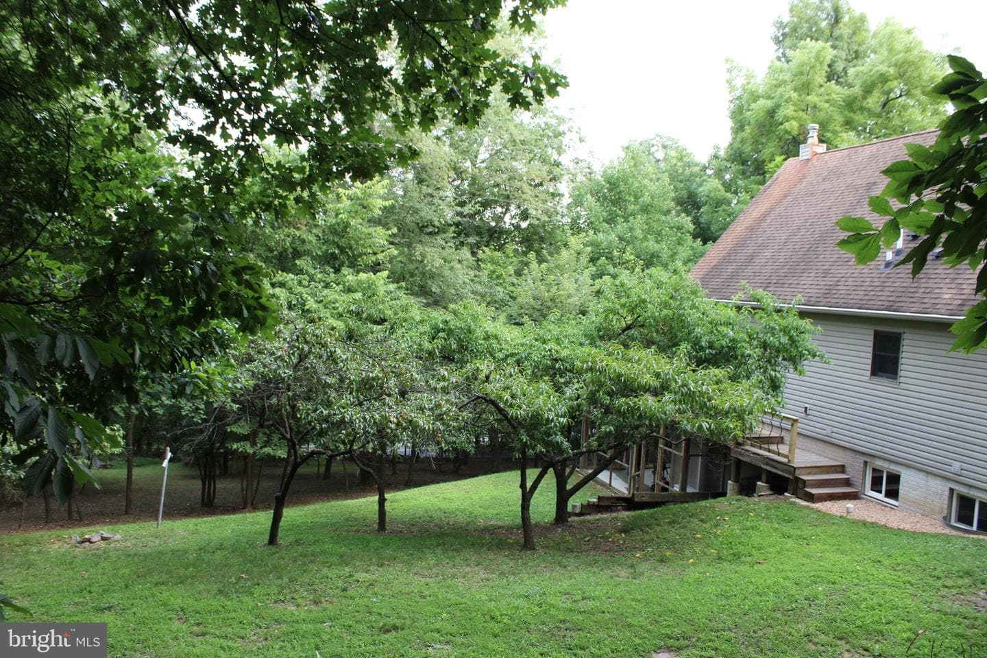 957 Butlers Chapel Road photo 24