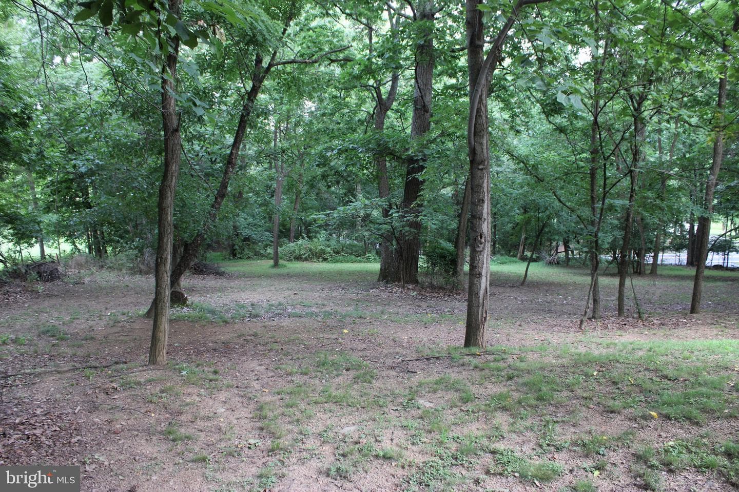 957 Butlers Chapel Road photo 25