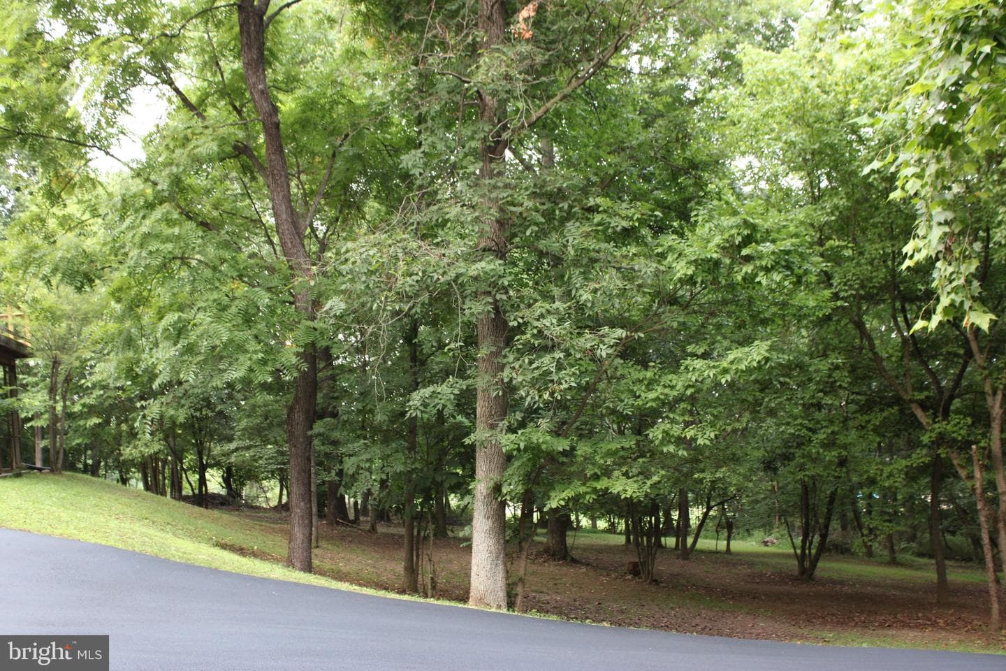 957 Butlers Chapel Road photo 30