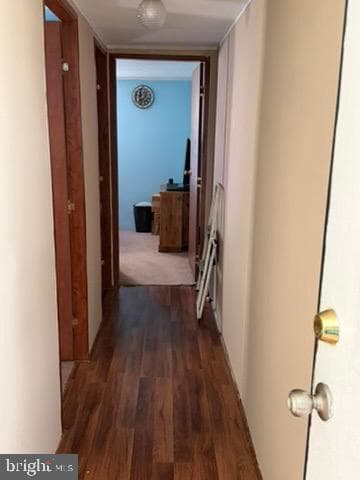 636 Royal Crest Drive photo 13