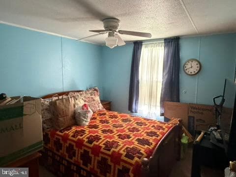 636 Royal Crest Drive photo 14