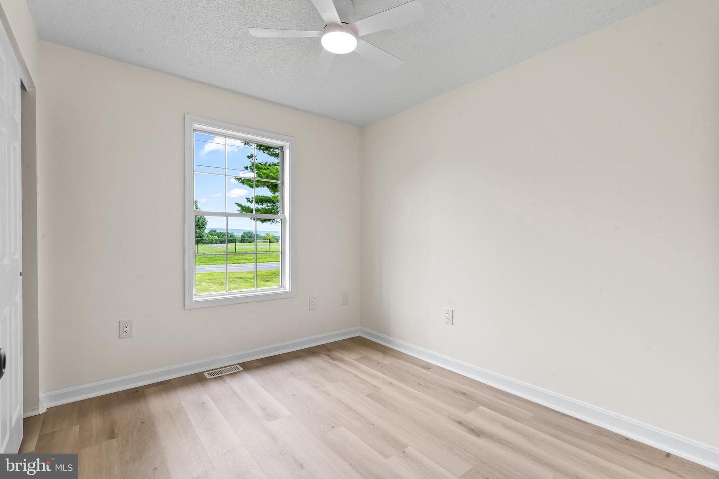 187 Primrose Drive photo 13