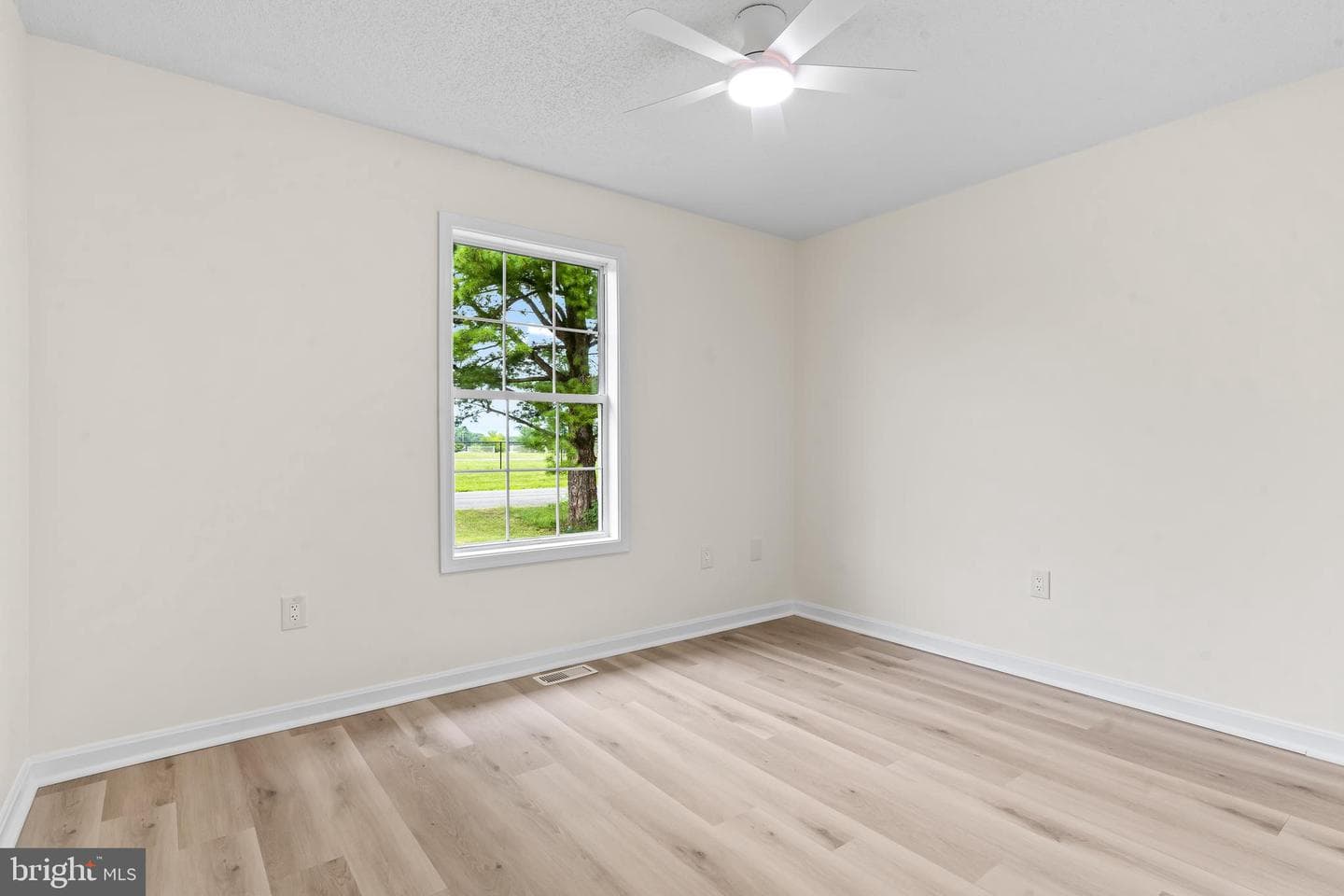 187 Primrose Drive photo 17