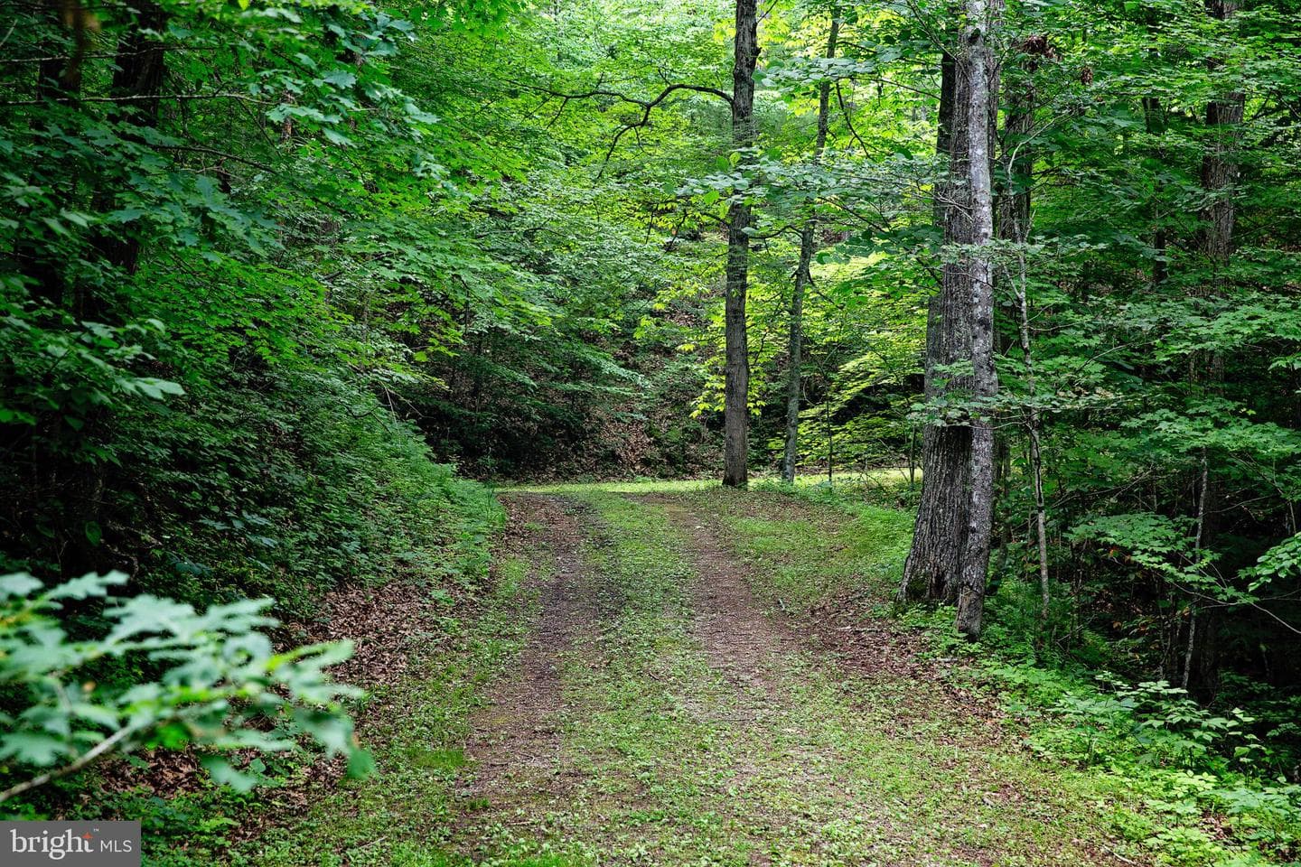896 Camp Ann Bailey Road photo 36
