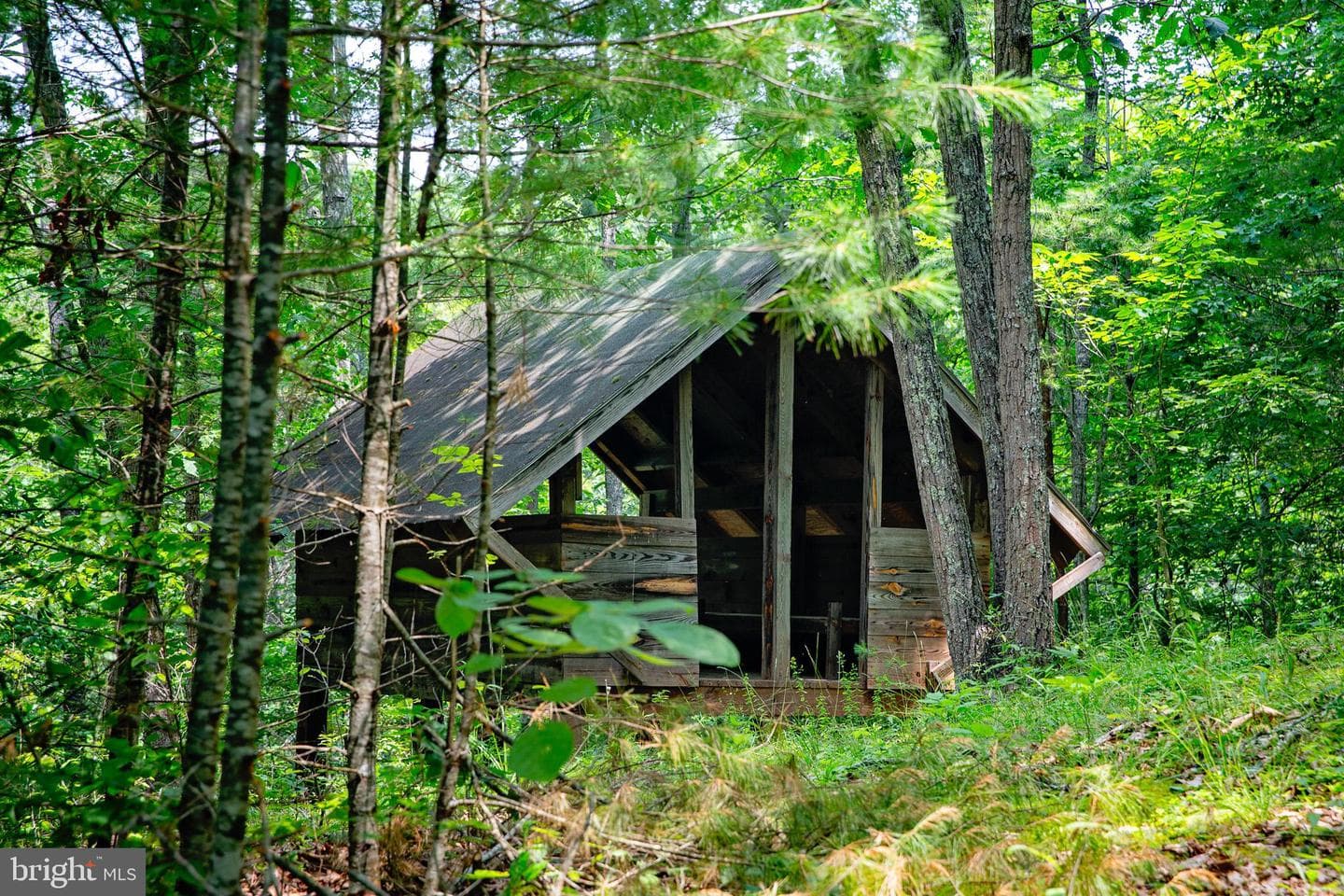 896 Camp Ann Bailey Road photo 45