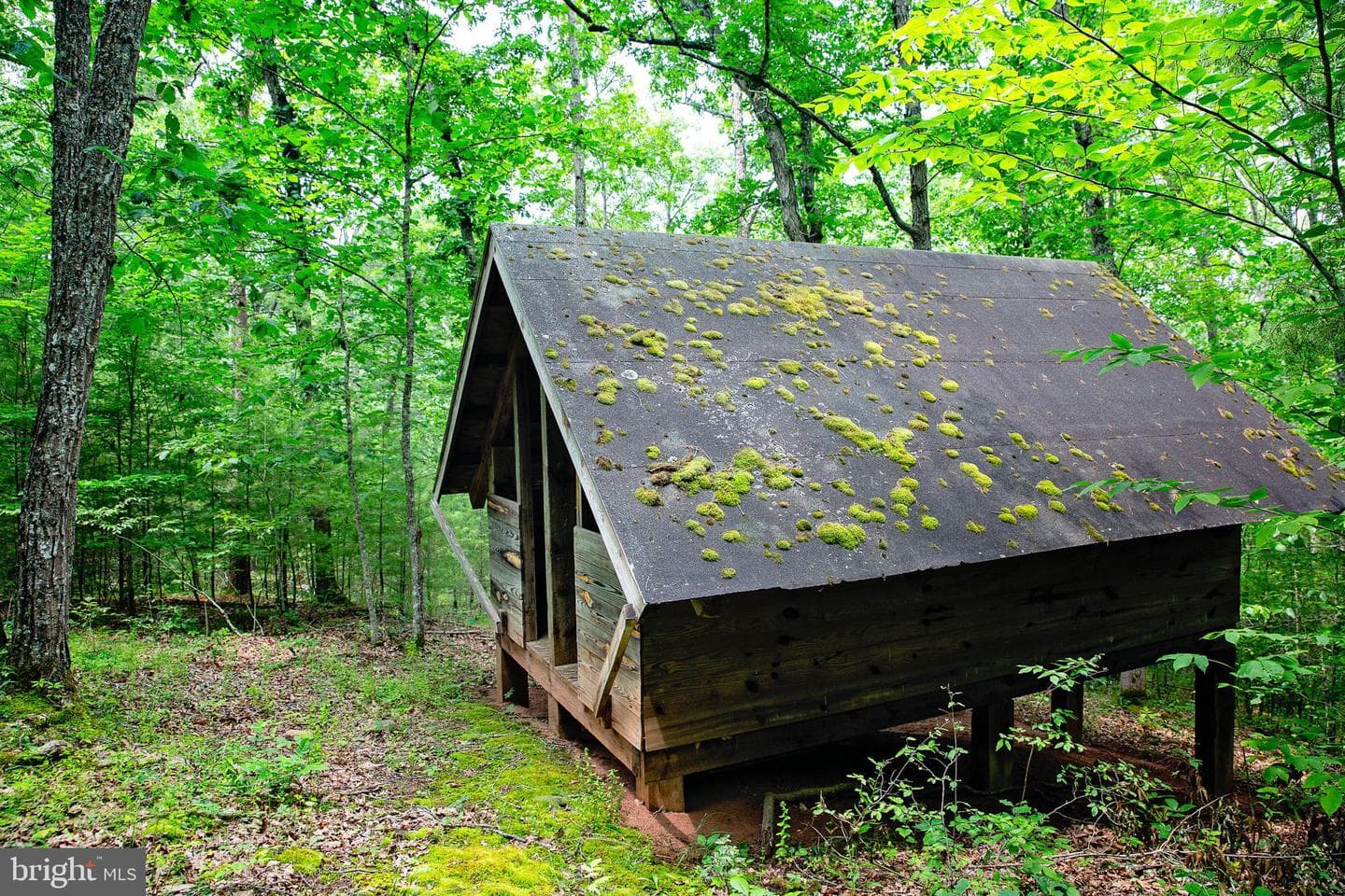896 Camp Ann Bailey Road photo 47