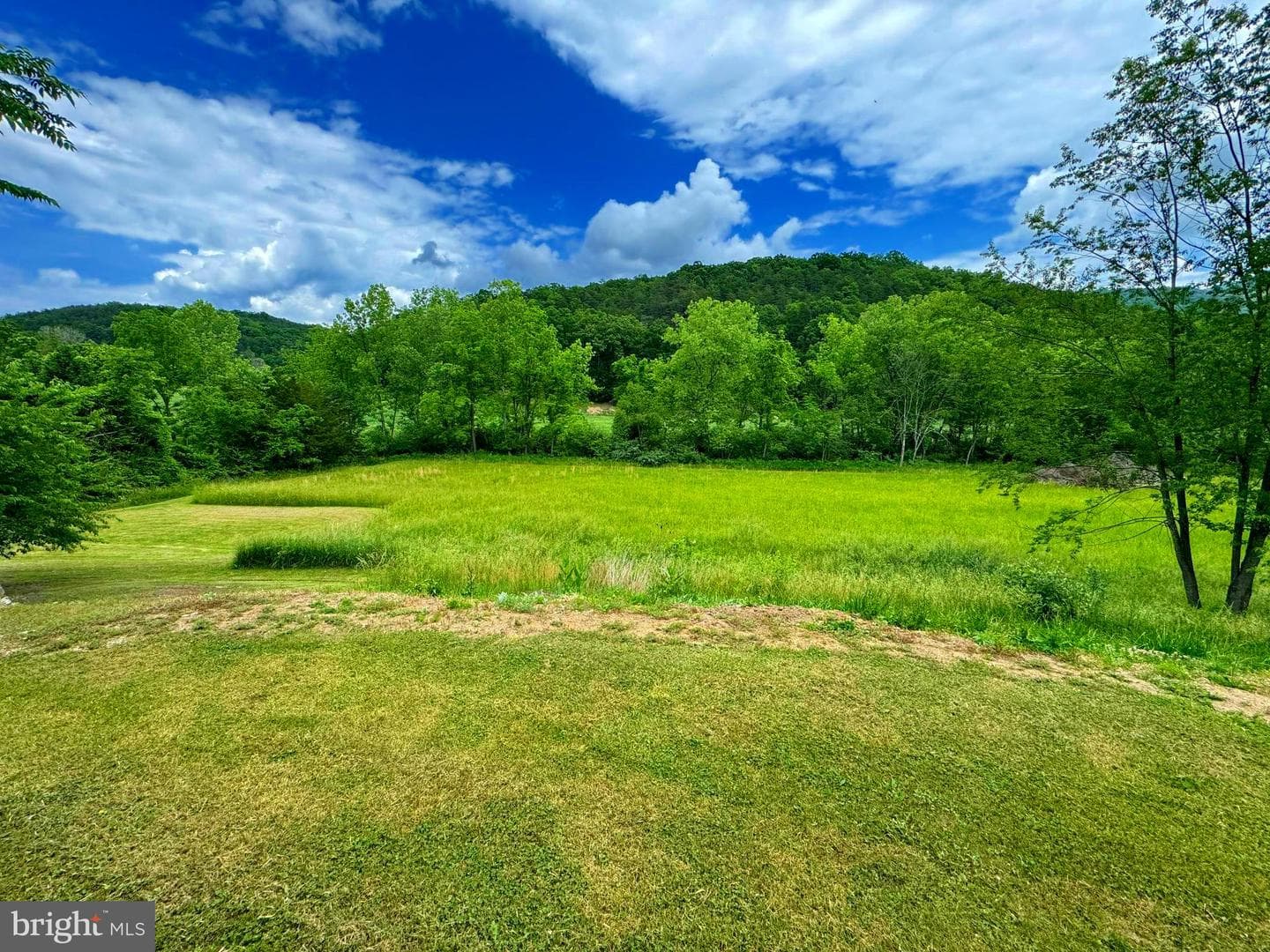 1750 Patterson Creek Road photo 26