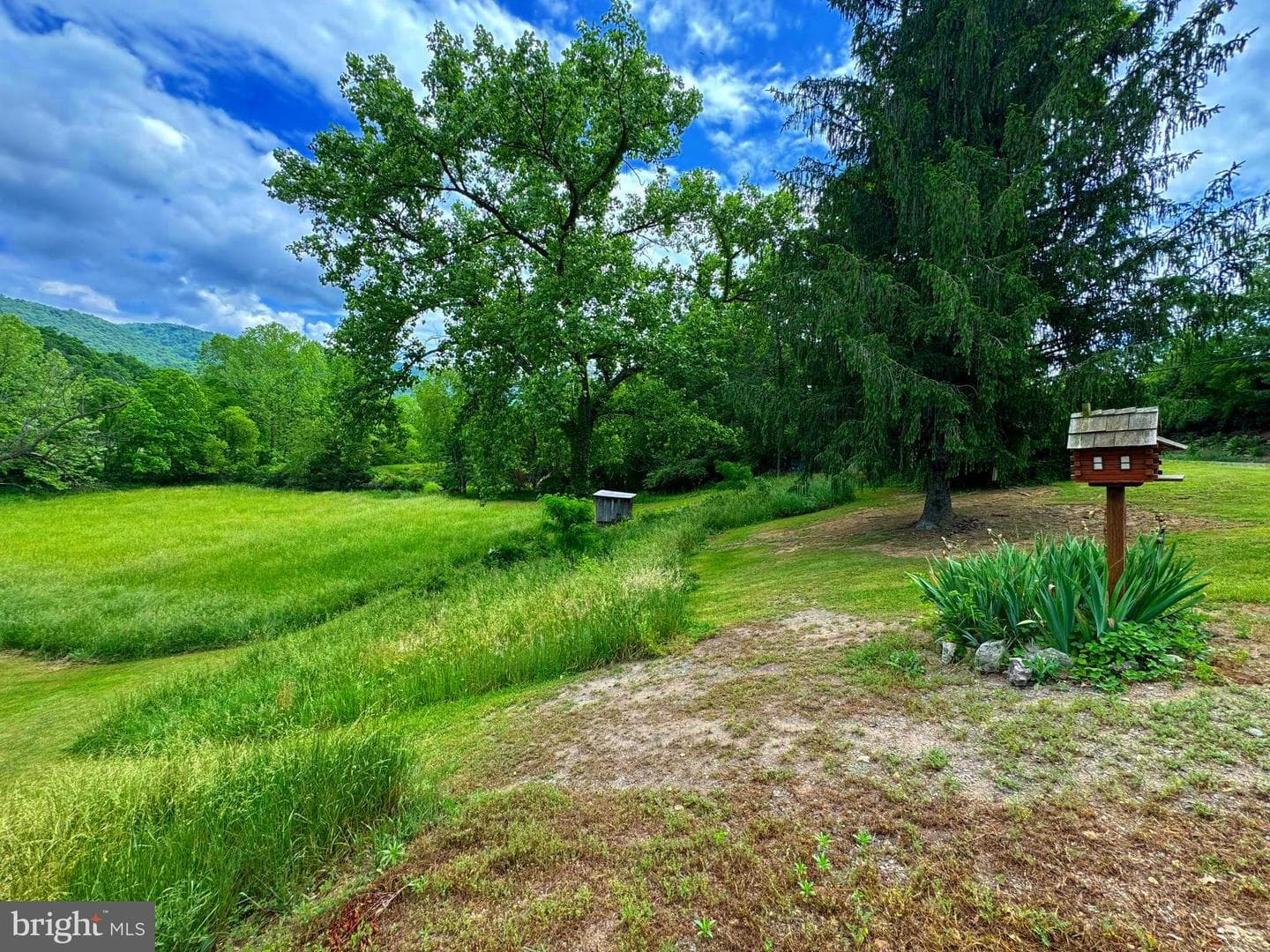 1750 Patterson Creek Road photo 31