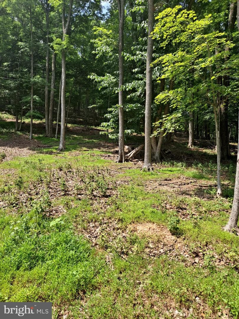 1079 Little Mountain photo 40