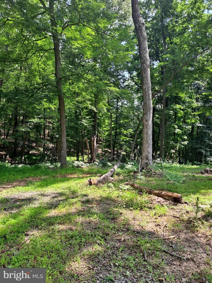 1079 Little Mountain photo 43