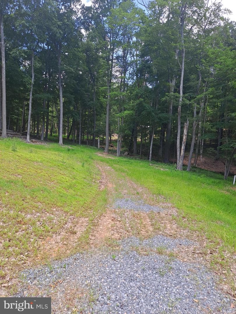 1079 Little Mountain photo 45