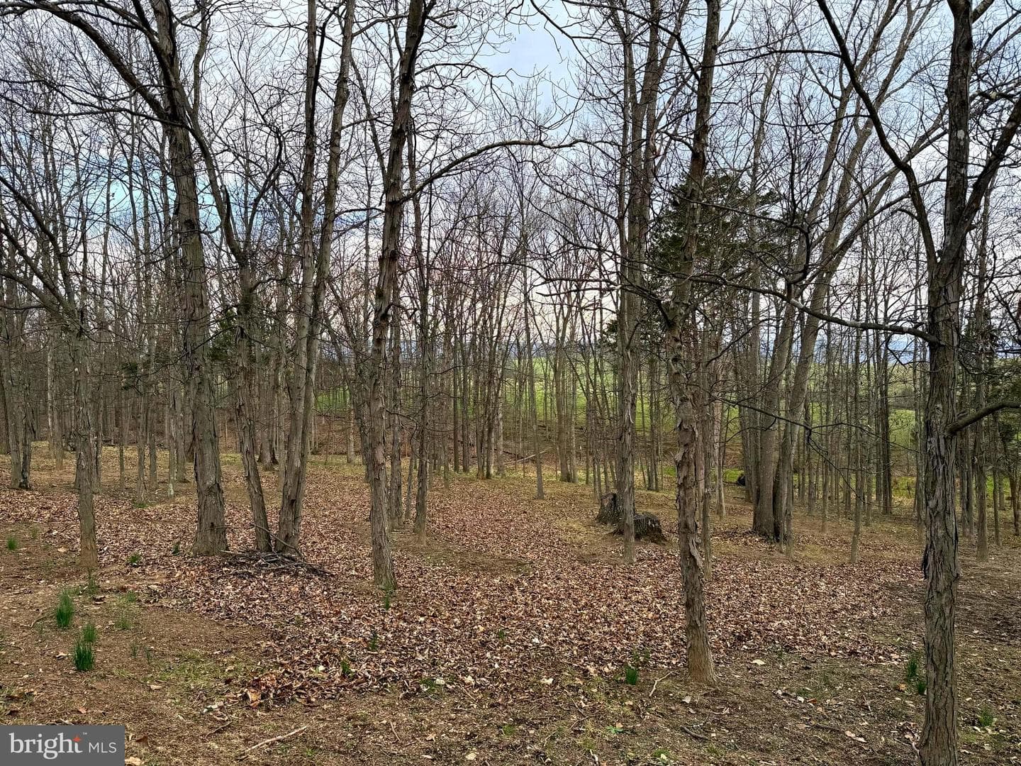 401 Nighthawk Drive photo 14