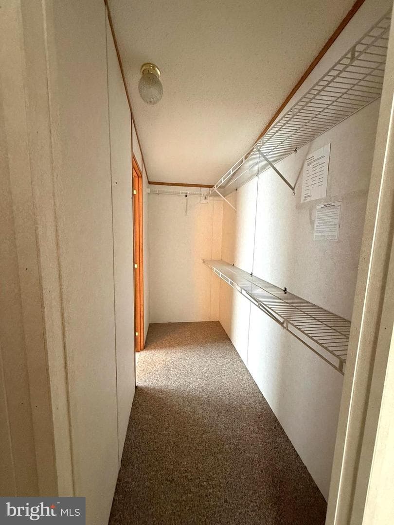 401 Nighthawk Drive photo 37