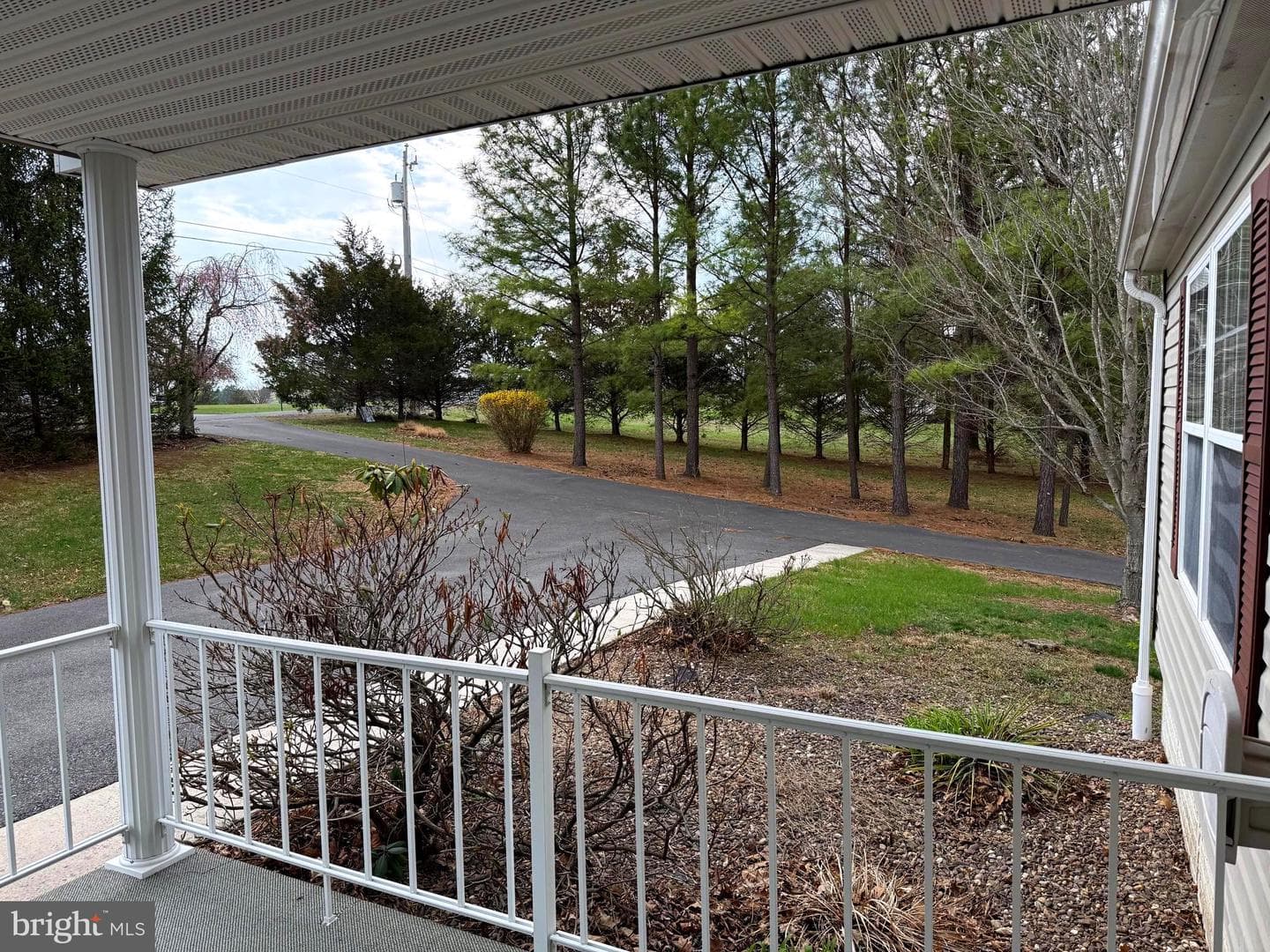 401 Nighthawk Drive photo 5