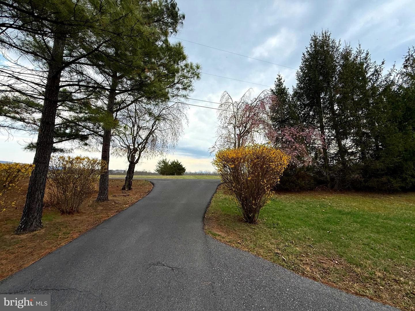 401 Nighthawk Drive photo 7