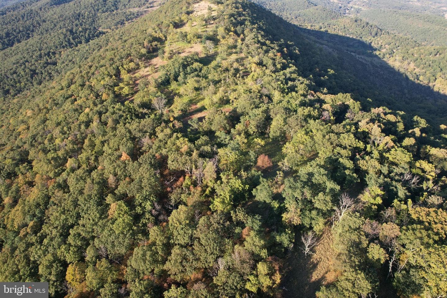 523 Glory Ridge Dr photo 20