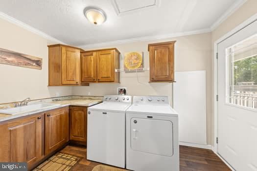 107 Trout Lane photo 10