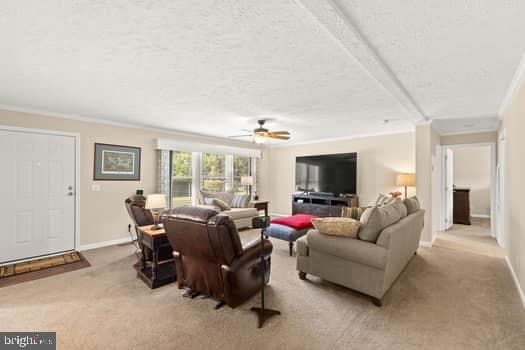 107 Trout Lane photo 16