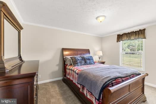 107 Trout Lane photo 17