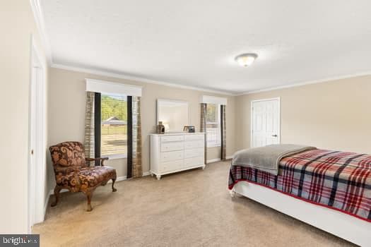 107 Trout Lane photo 19