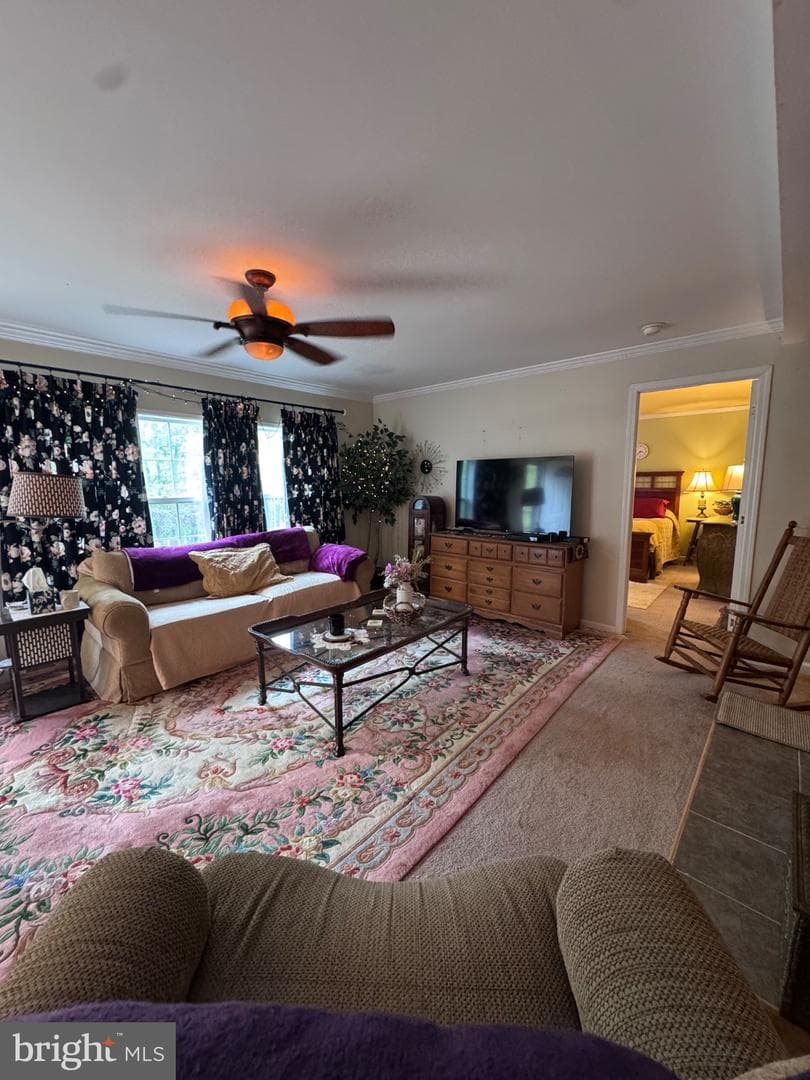 155 Foxdale Lane photo 13