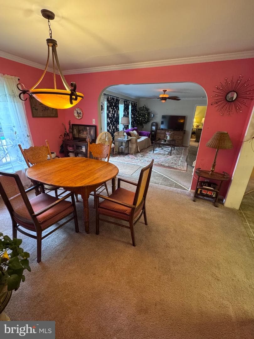 155 Foxdale Lane photo 24