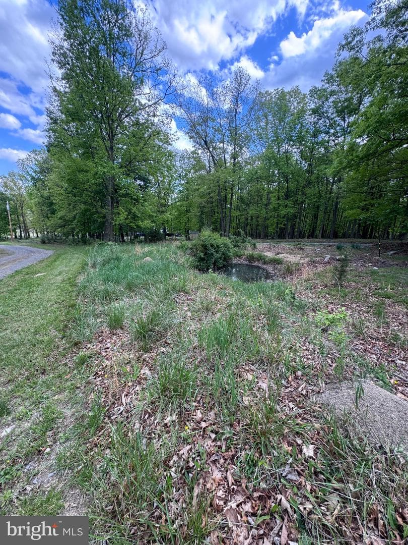 155 Foxdale Lane photo 56