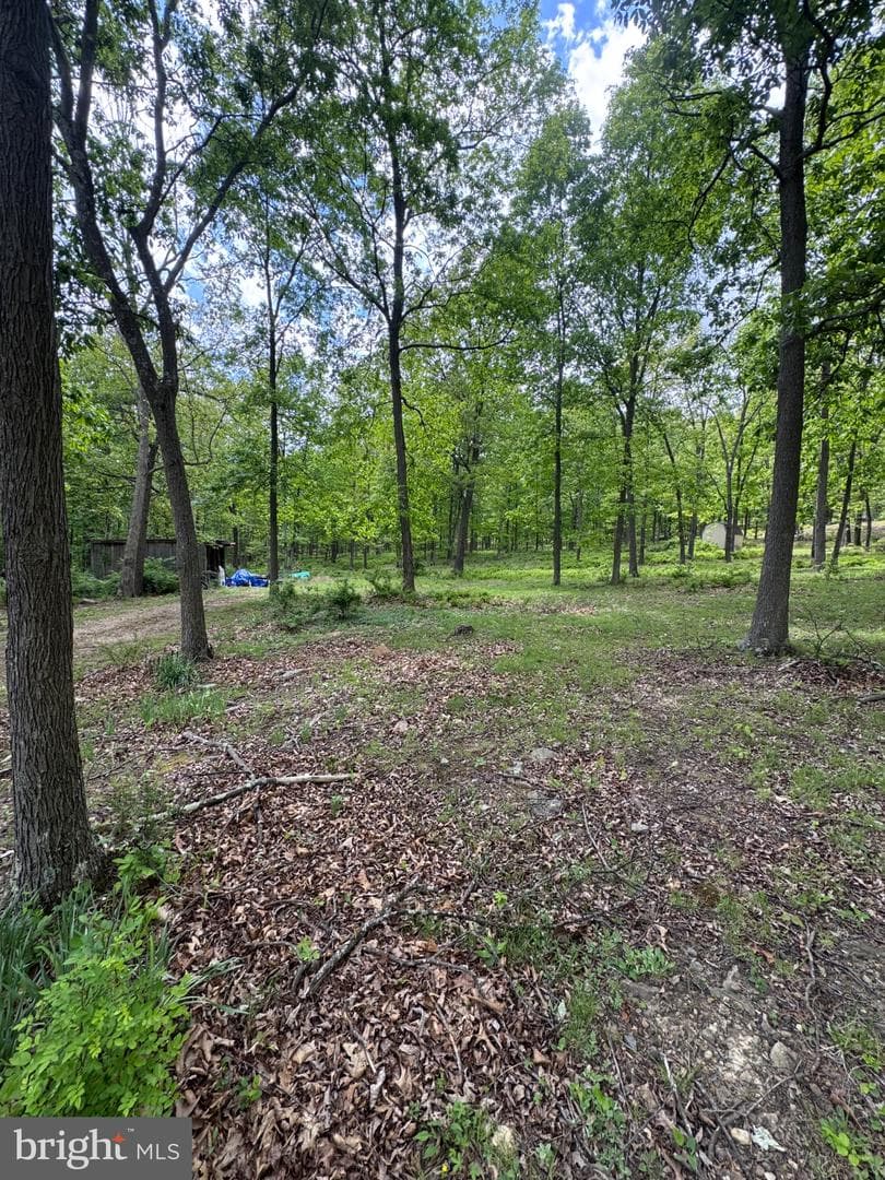 155 Foxdale Lane photo 64