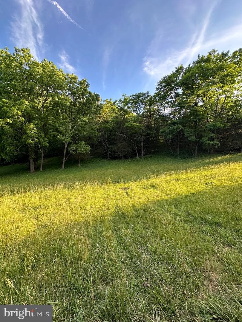 219 Eby Drive photo 53