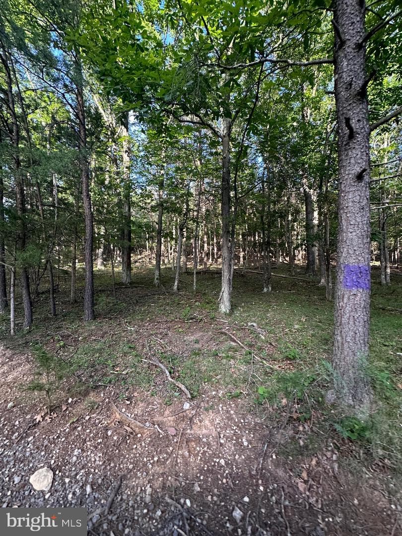 219 Eby Drive photo 59