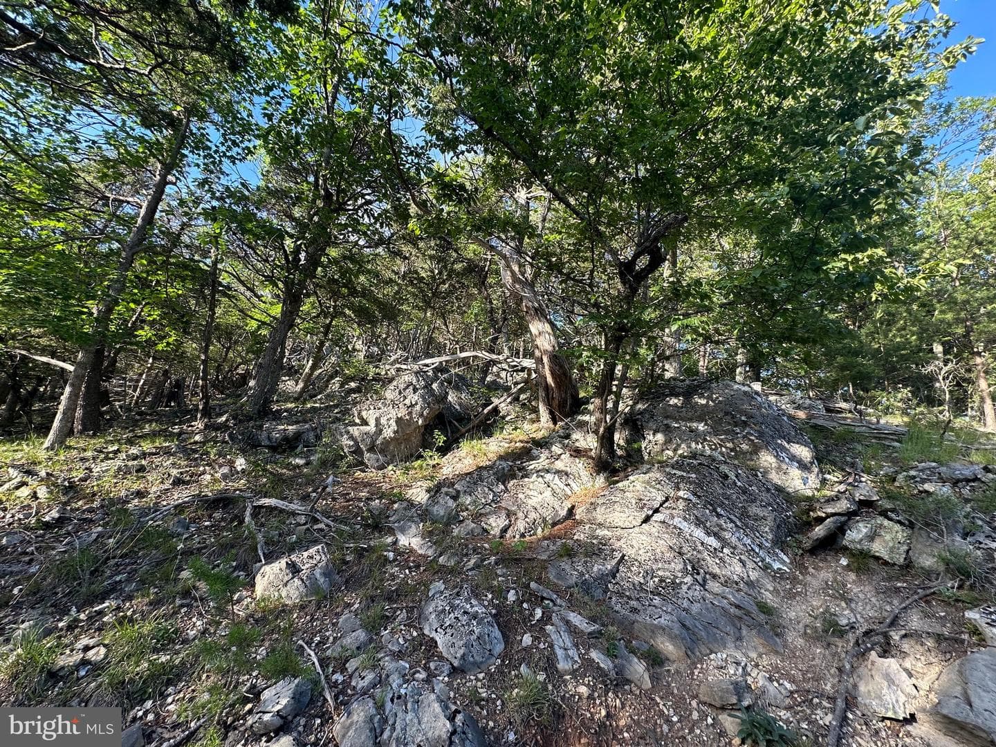 219 Eby Drive photo 60