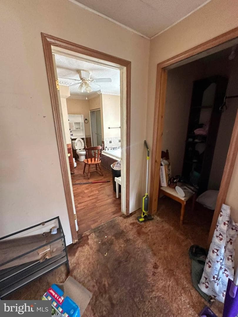 15 Ash Street photo 15
