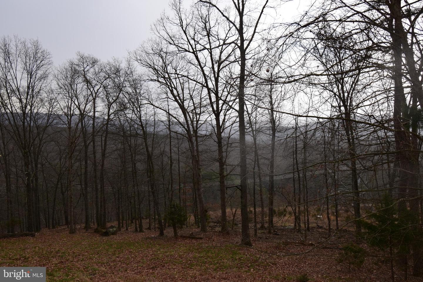 884 Trough Overlook photo 3