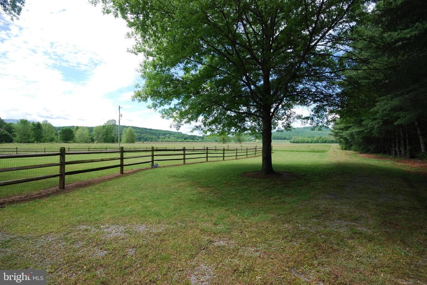 1074 Silver River Acres Road photo 15