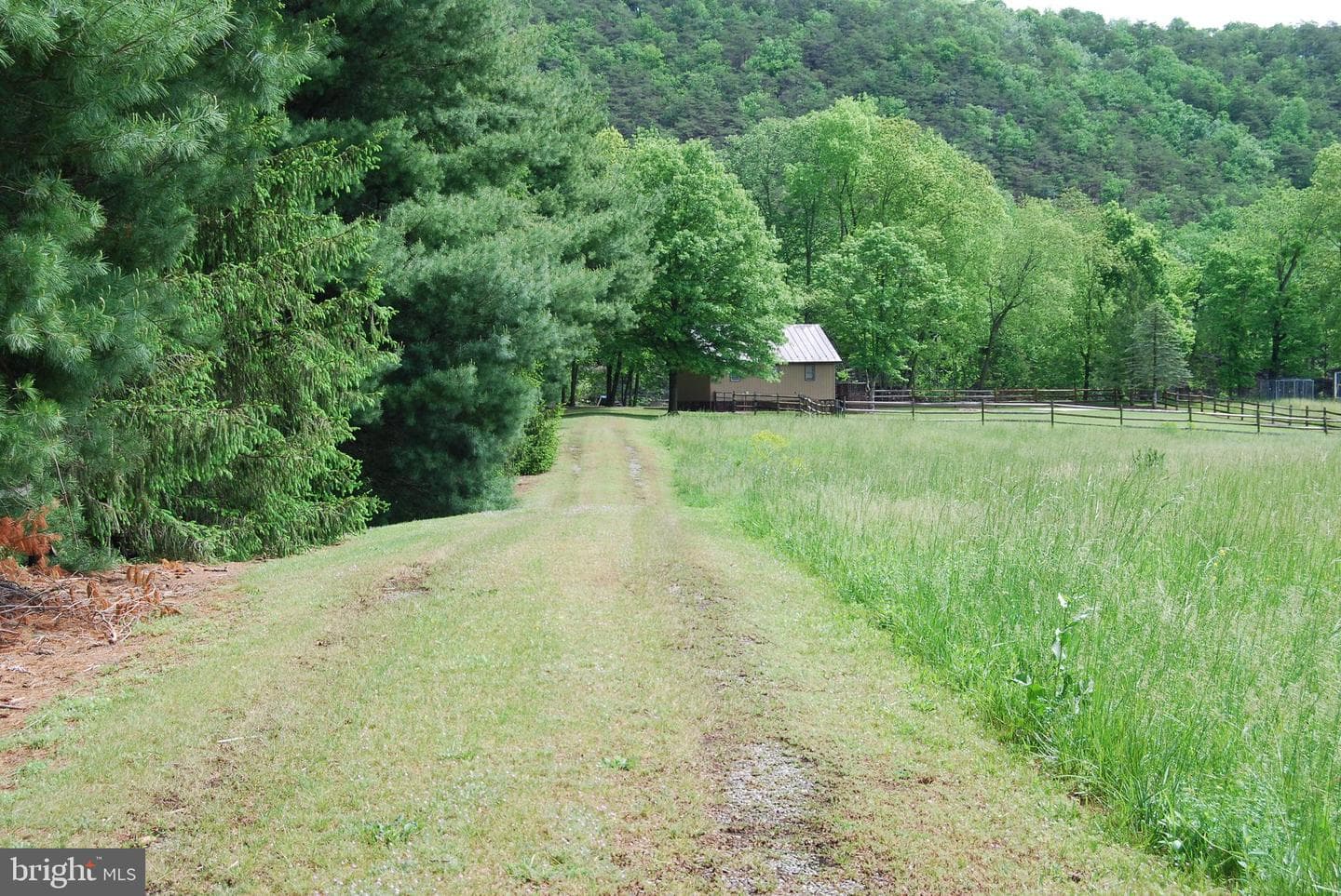 1074 Silver River Acres Road photo 46