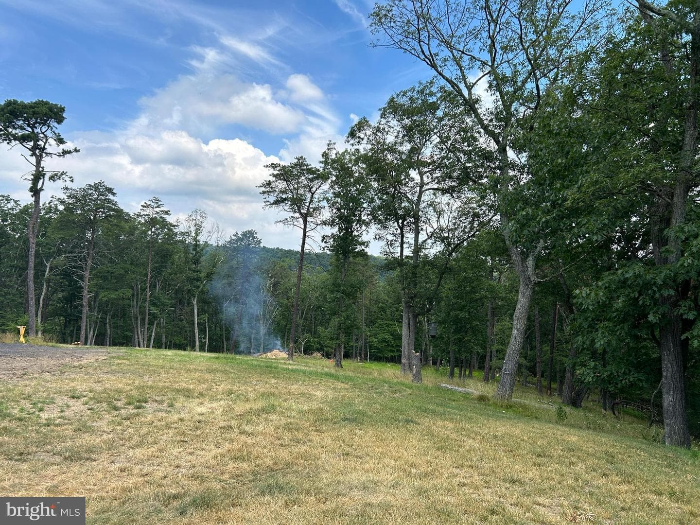 555 Yellow Pine Drive photo 8