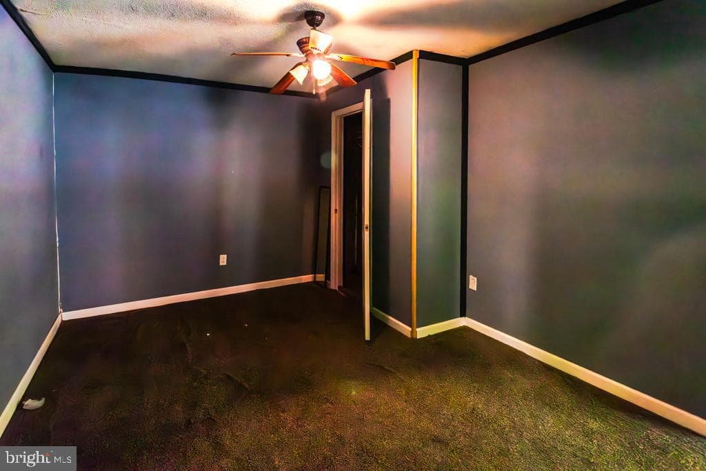 2152 Walnut Bottom Road photo 133