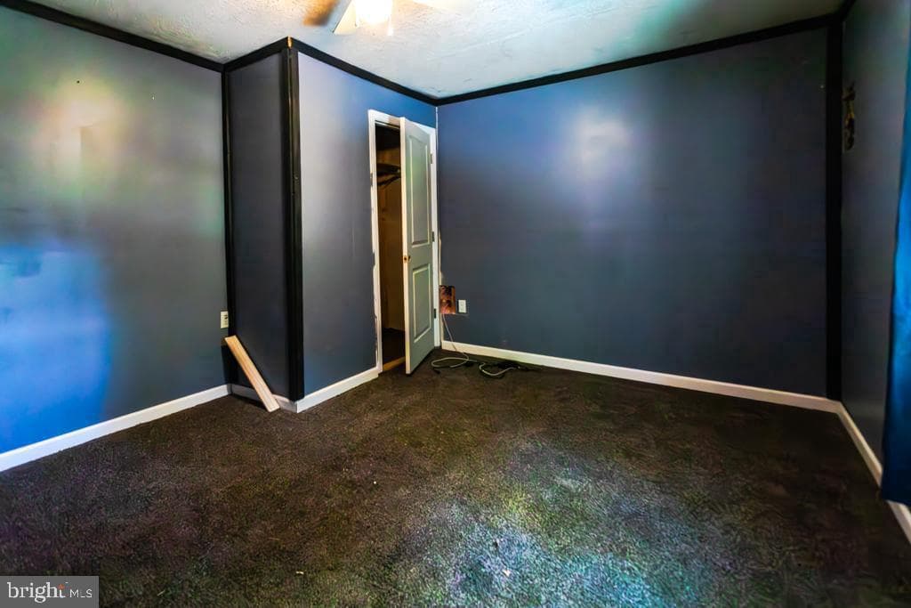2152 Walnut Bottom Road photo 139