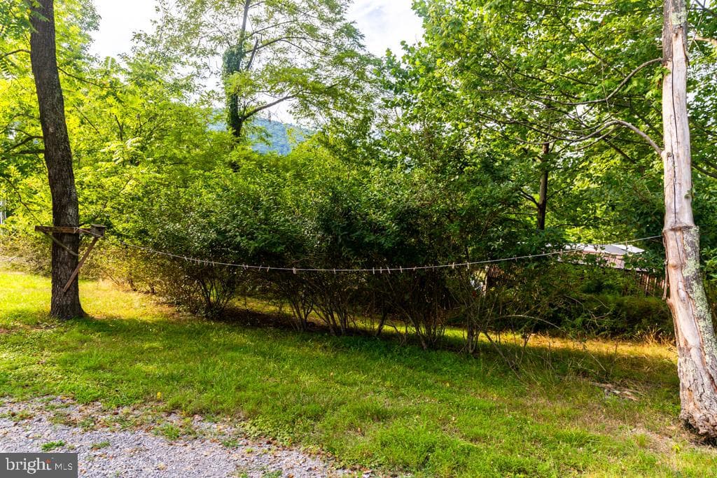 2152 Walnut Bottom Road photo 29