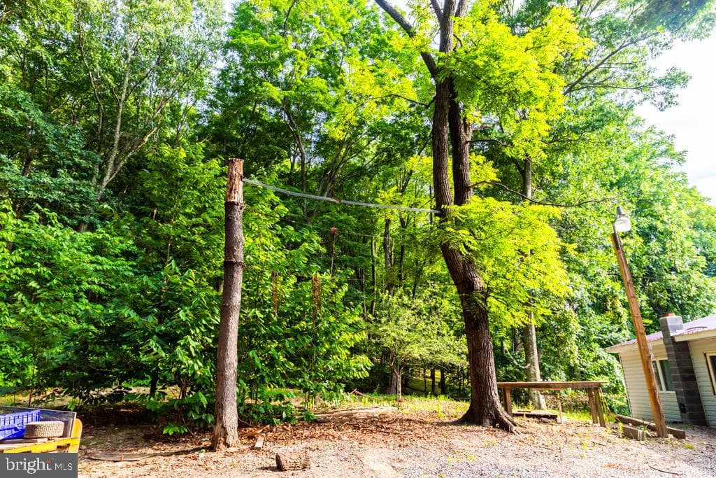 2152 Walnut Bottom Road photo 54