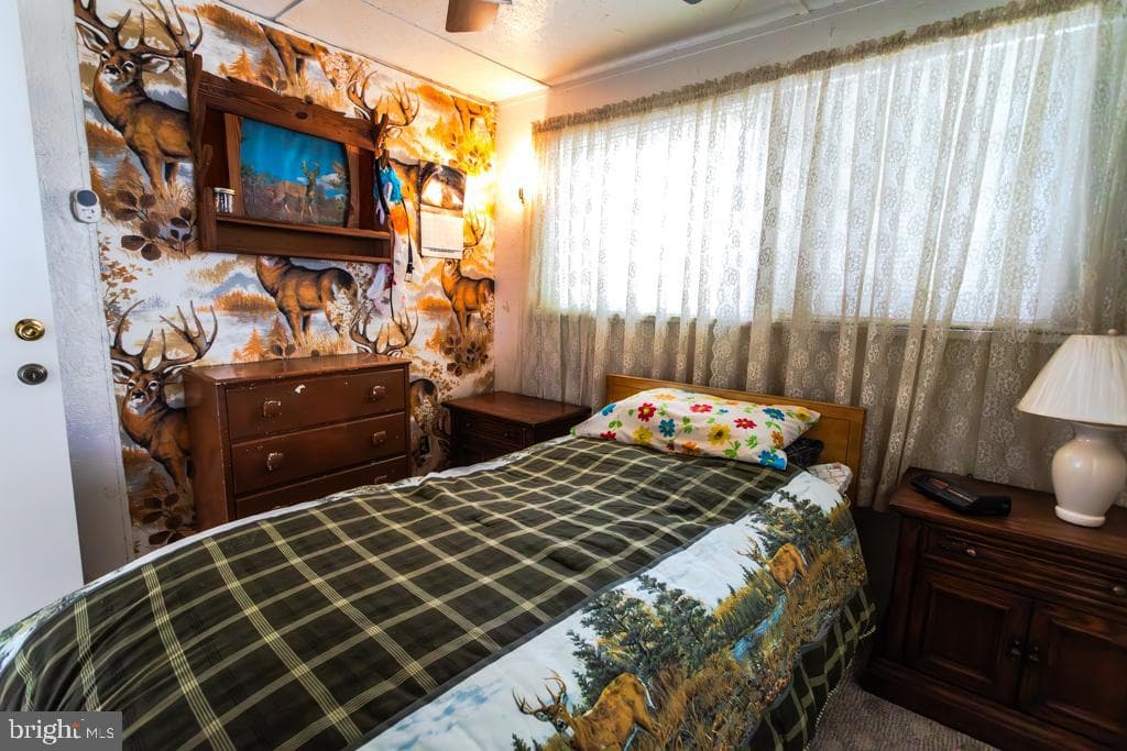 2152 Walnut Bottom Road photo 68