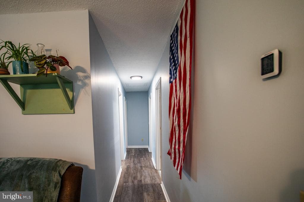 49 See Lane photo 21