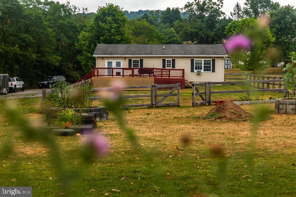 49 See Lane photo 83