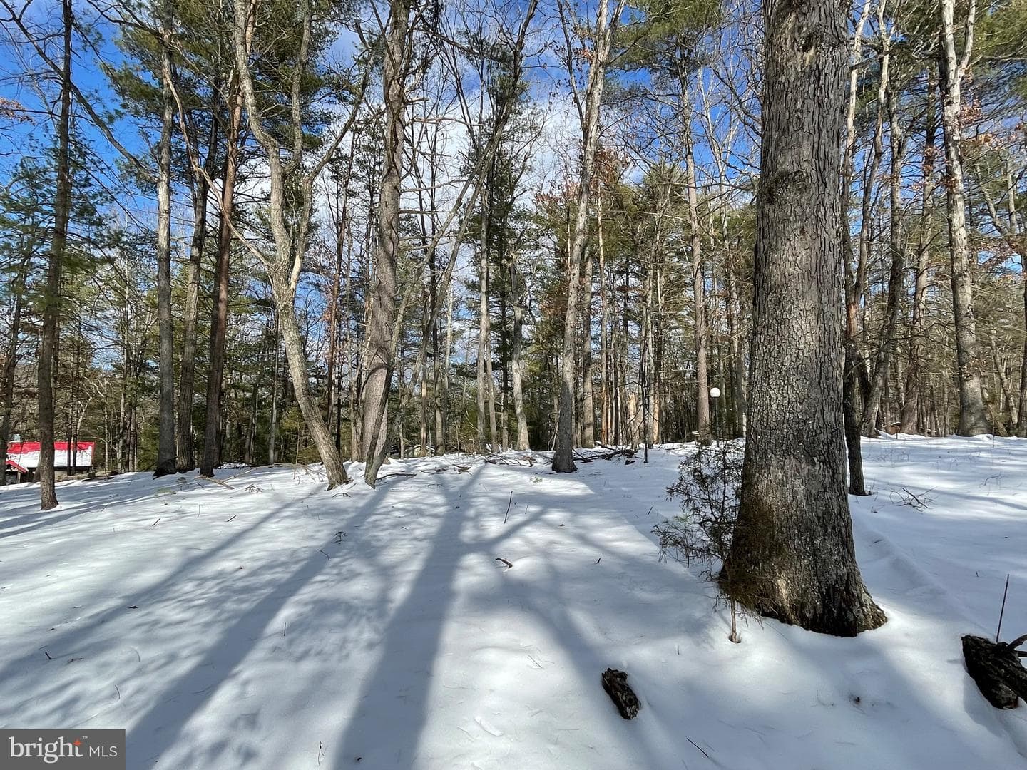 633 Snyders Ridge Road photo 13