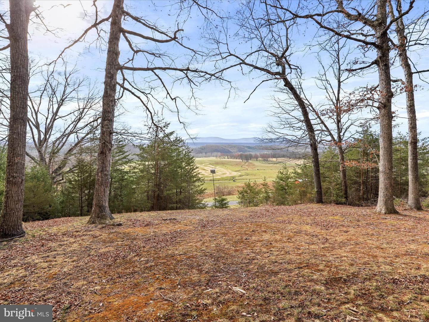 3387 State Road 259 N photo 34