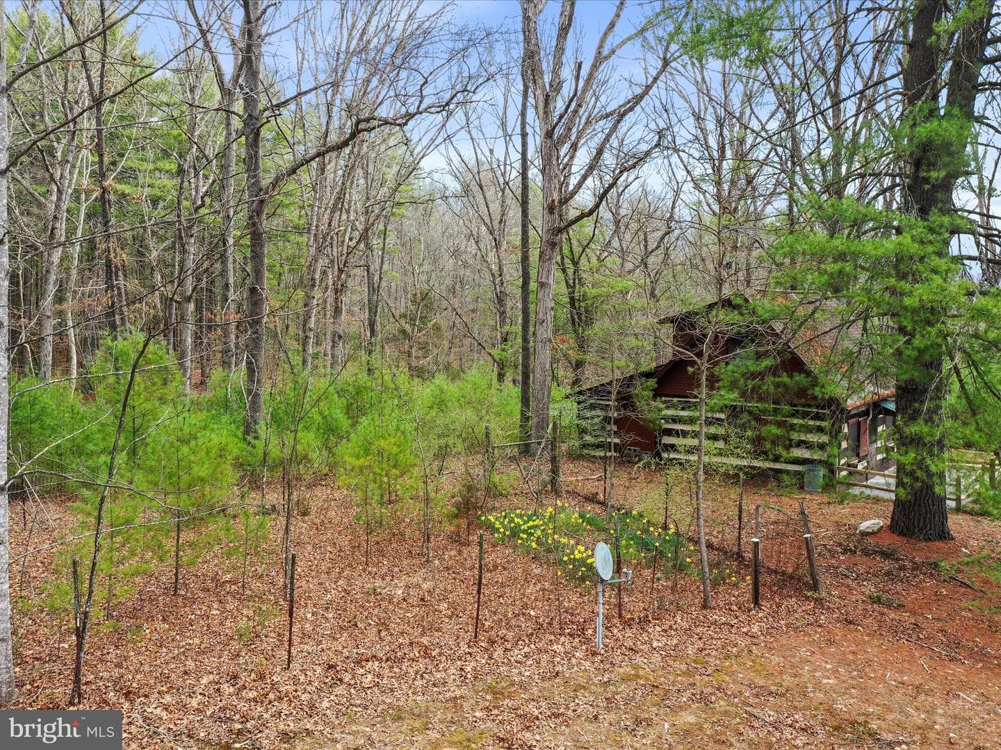 3387 State Road 259 N photo 55