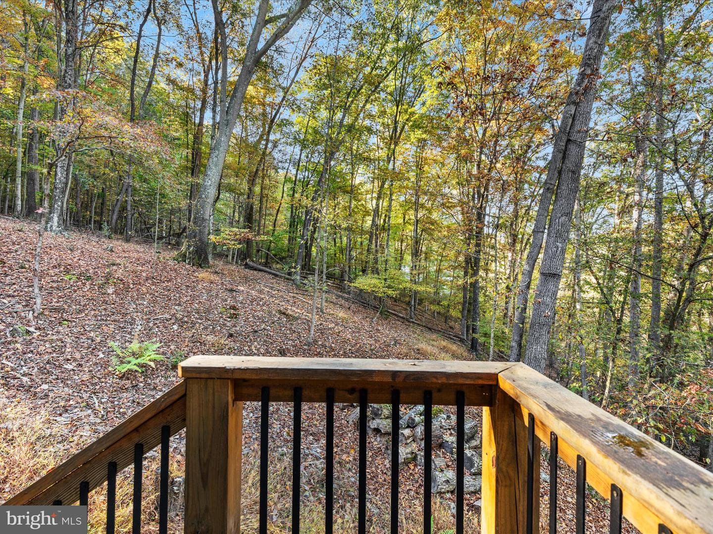 15 Meadow View Dr photo 23