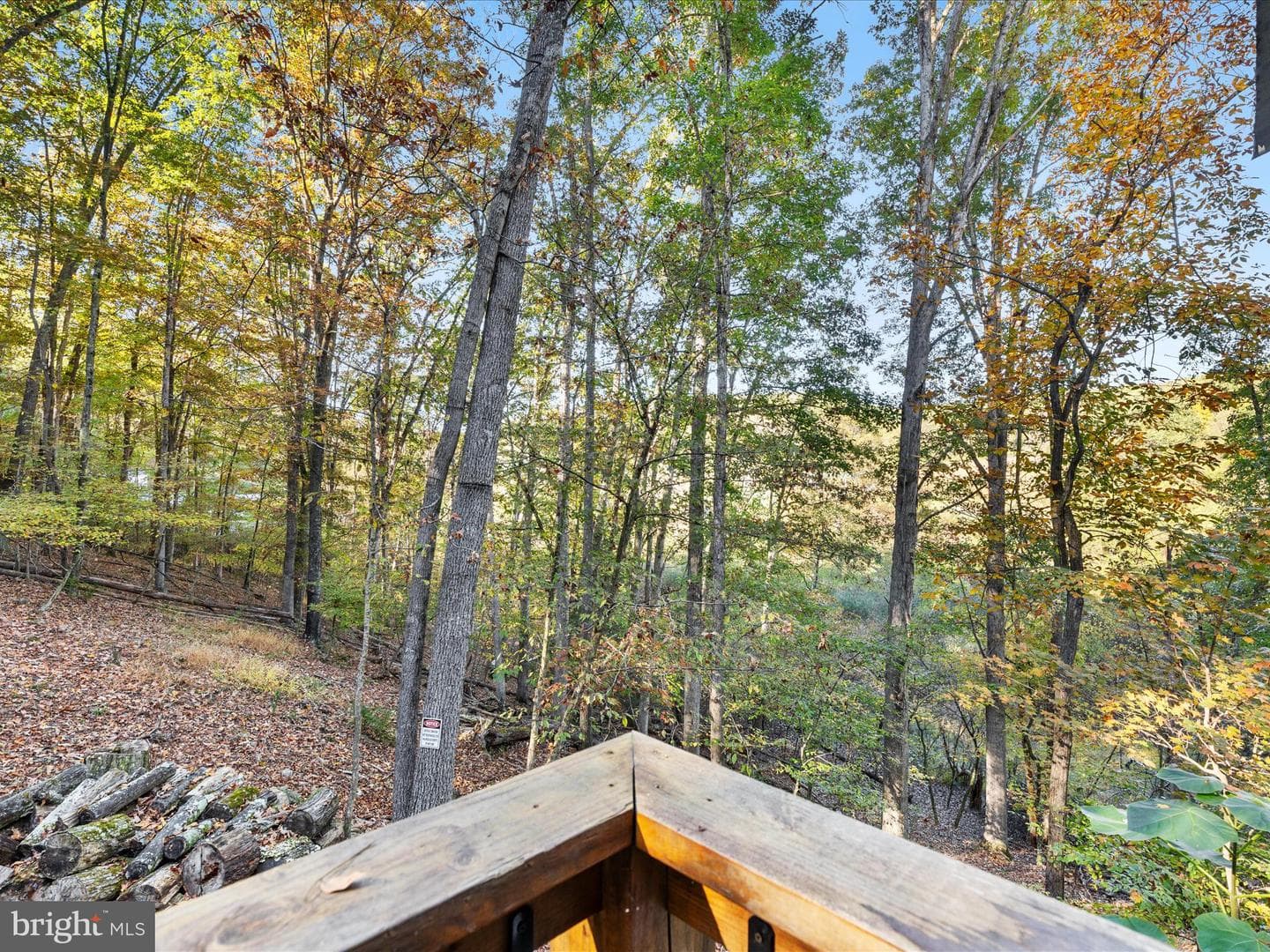 15 Meadow View Dr photo 24