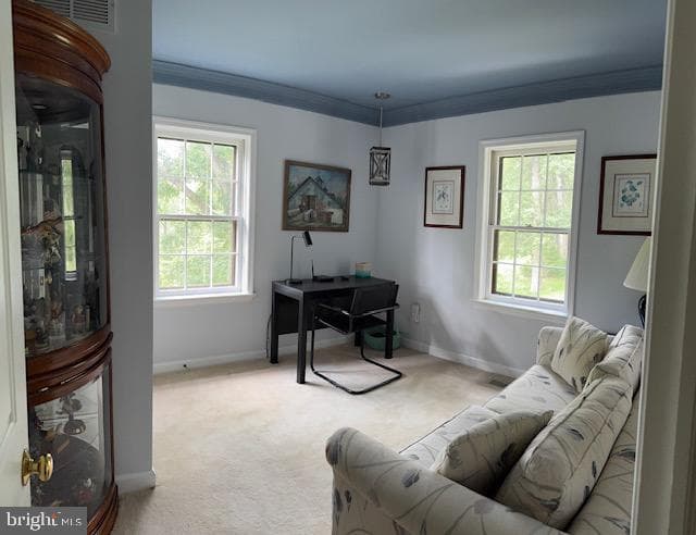 357 Pleasant Valley Drive photo 16